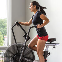 Schwinn Airdyne AD7 in-home exercise bike--thumbnail