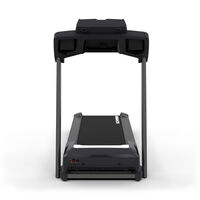 Schwinn 870 Treadmill--thumbnail