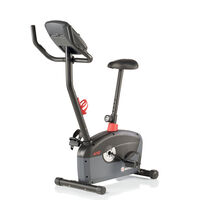 Schwinn A10 Upright Bike--thumbnail