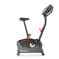 Schwinn A10 Upright Bike--thumbnail